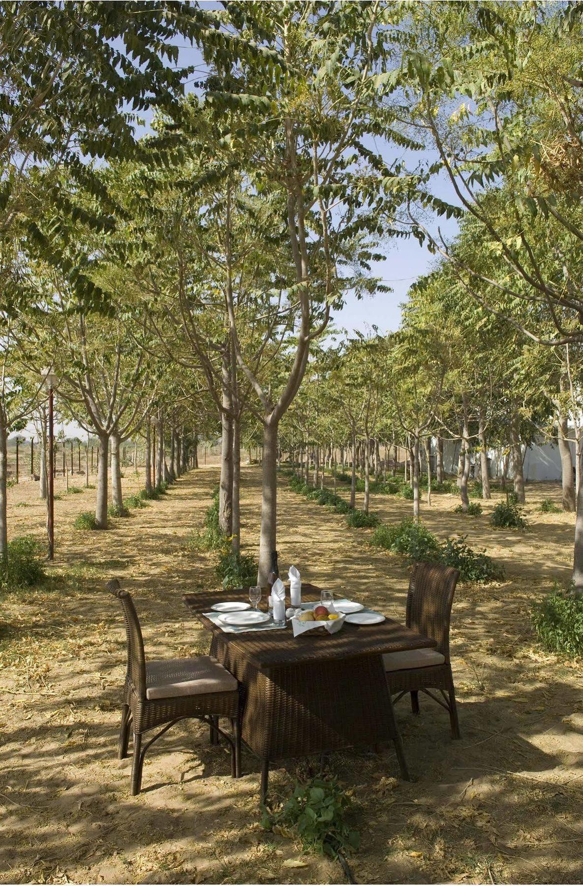 פושקאר The Greenhouse Resort מראה חיצוני תמונה